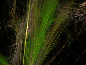 Similar image 21669512