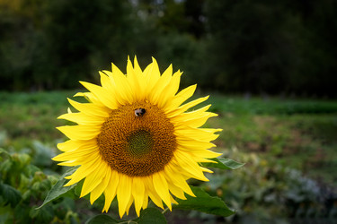 Similar image 21669192