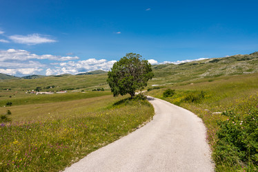 Similar image 21669200