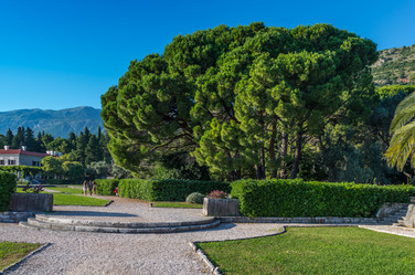 Similar image 21669233