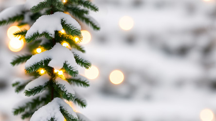 Similar image 21669364