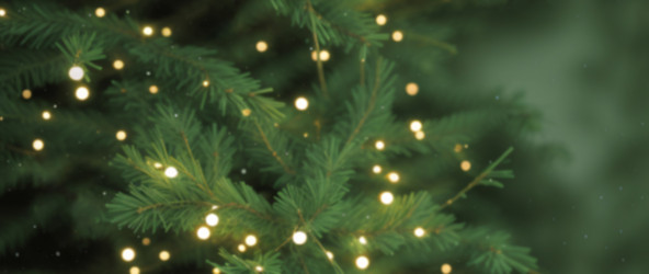 Similar image 21669370