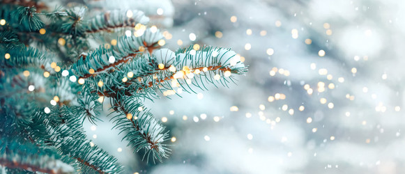 Similar image 21669374