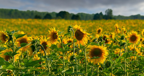 Similar image 21669258