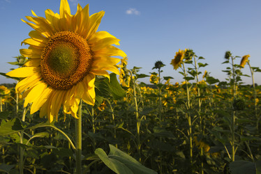 Similar image 21669260