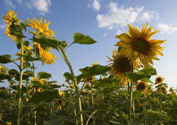 Similar image 21669261