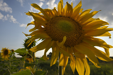 Similar image 21669262