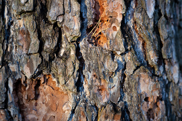 Similar image 21669626