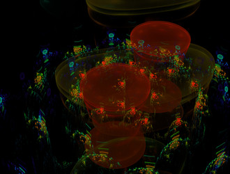 Similar image 21669816