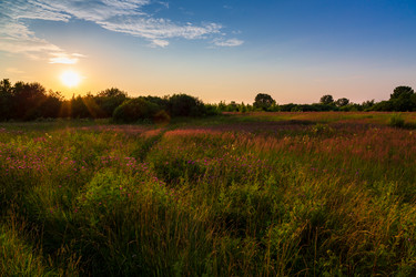 Similar image 21669629