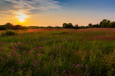 Similar image 21669631