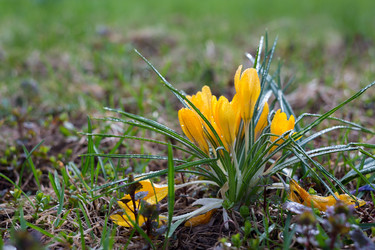 Similar image 21669637