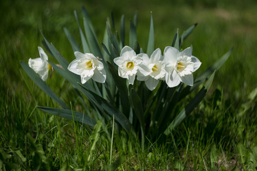 Similar image 21669638