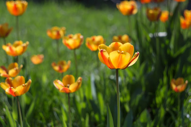 Similar image 21669639