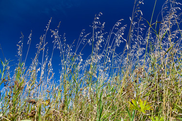 Similar image 21669644