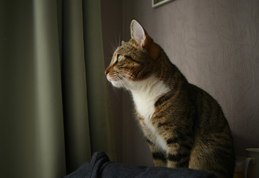 Similar image 21669646