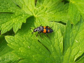 Similar image 21669647