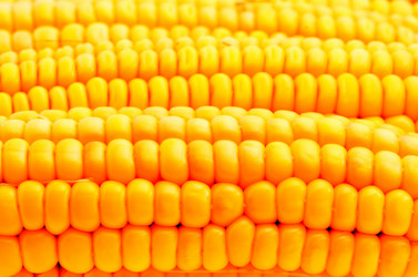 Similar image 21669660