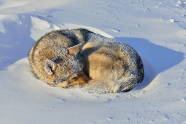 Similar image 21669669