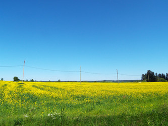 Similar image 21669677