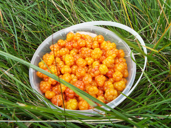 Similar image 21669678