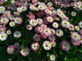 Similar image 21669680