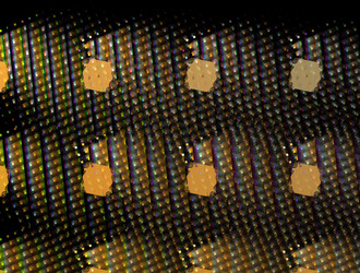 Similar image 21669972