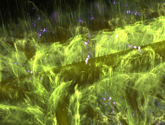 Similar image 21669995