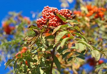 Similar image 21670104