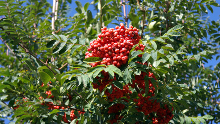 Similar image 21670113