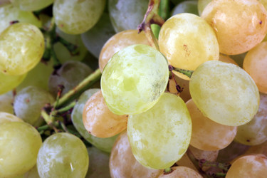 Similar image 21671144