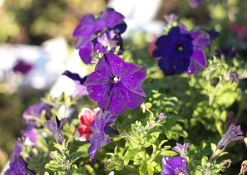 Similar image 21671041