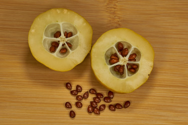 Similar image 21670644