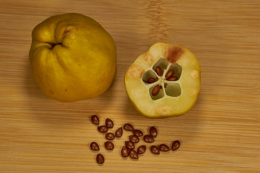 Similar image 21670293