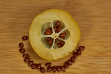 Similar image 21670645