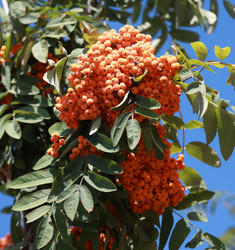 Similar image 21671088