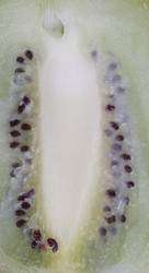 Similar image 21671092