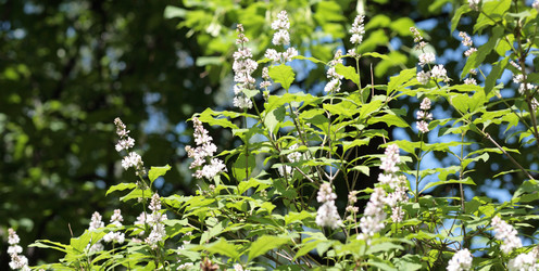 Similar image 21671094