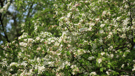 Similar image 21671109