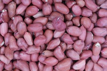 Similar image 21671159