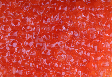 Similar image 21671161