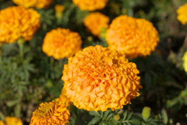 Similar image 21671162