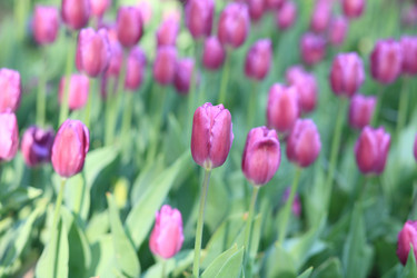 Similar image 21671163