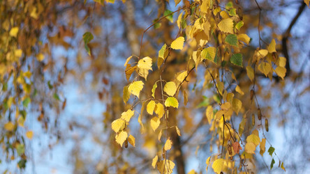 Similar image 21671186