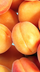 Similar image 21671188