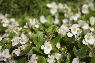 Similar image 21671192