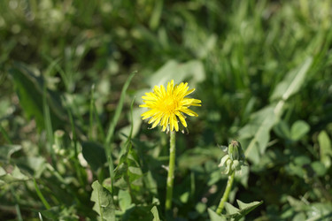 Similar image 21671193