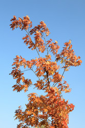 Similar image 21671198