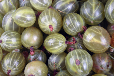 Similar image 21671210