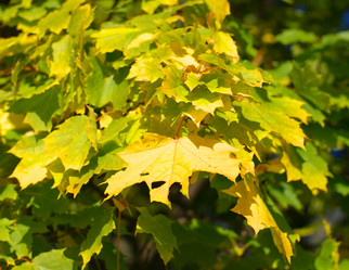 Similar image 21671211